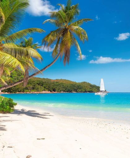 9C4D62E97F00010165521E94E458C086